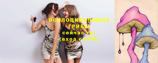 2c-b Пересвет