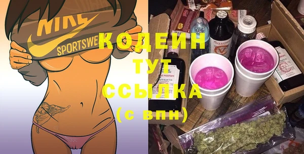 шишки Покачи