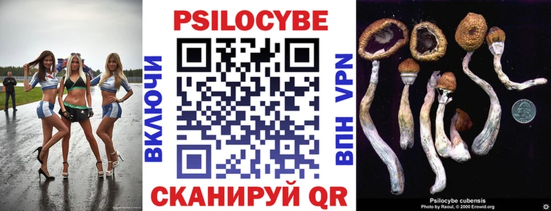 Купить  Лагань  Псилоцибиновые грибы мицелий 
